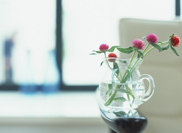 花瓶摆放的家居风水