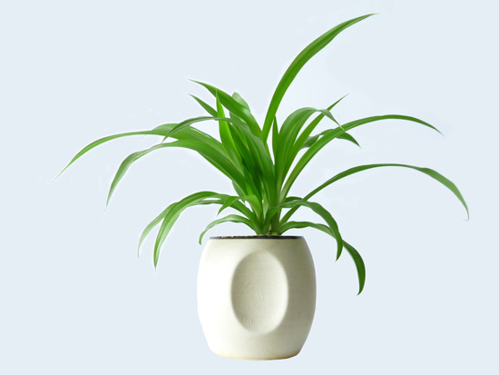 布局风水促进股票大涨