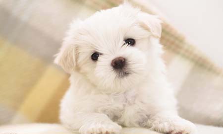 最难敞开心扉的星座大排名